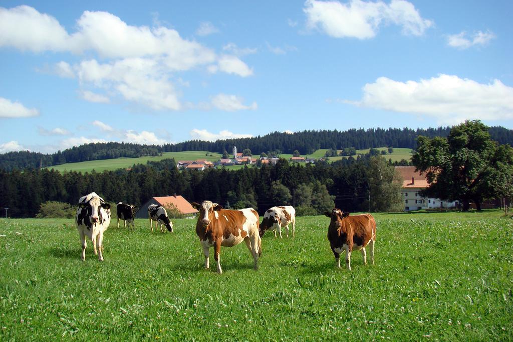 فيلا Bio-Bauernhof Heidegger Möggers المظهر الخارجي الصورة